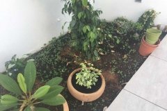 Jardinera
